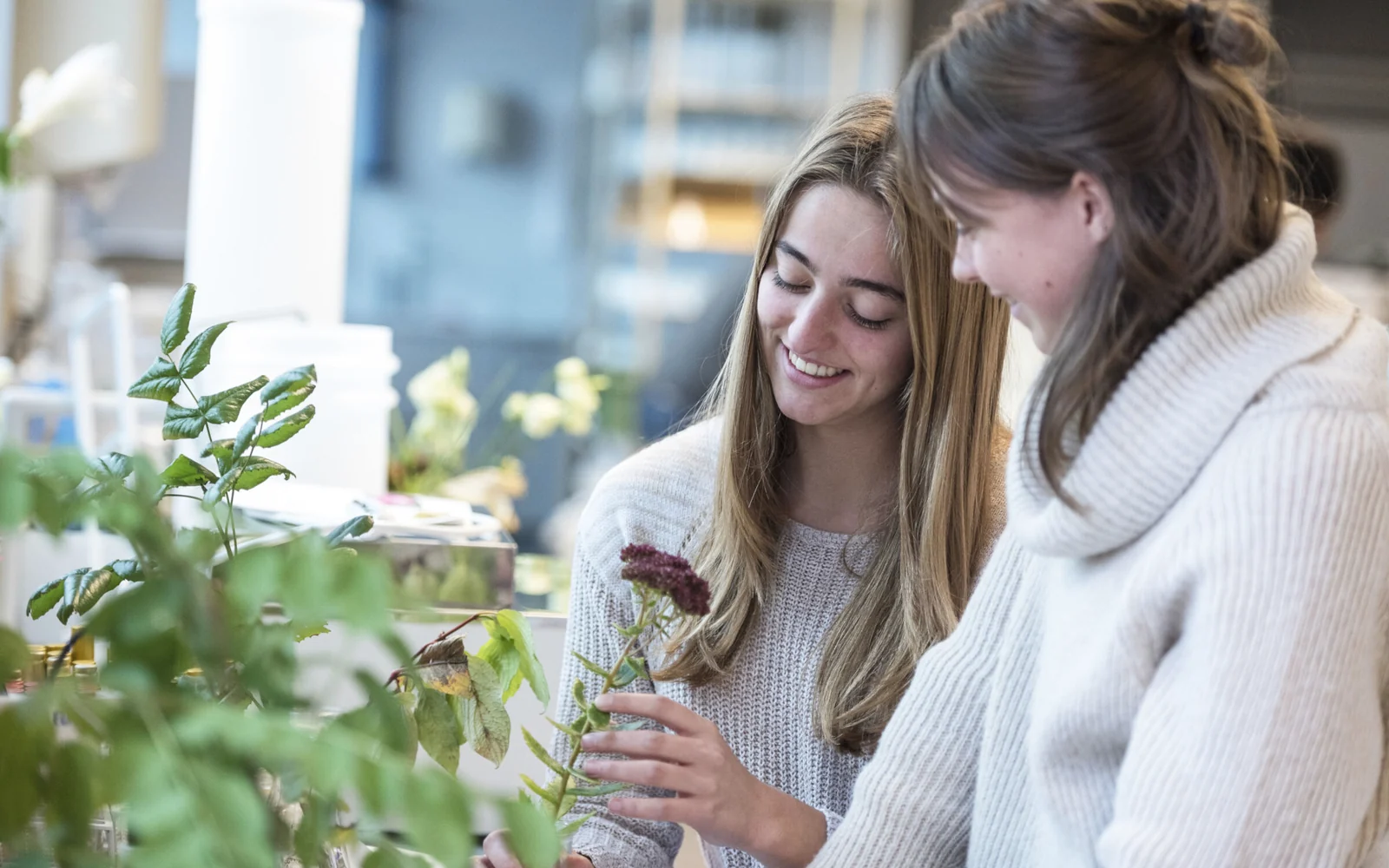 Persone impegnate in un'attività pratica e verde